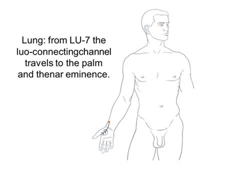 Yuan Source Luo Connecting Xi Cleft Points Flashcards Quizlet