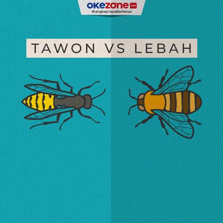 Punya Bentuk Yang Hampir Sama Ini Perbedaan Tawon Dan Lebah Okezone