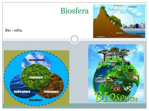 Importancia De La Biosfera