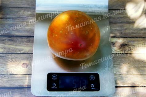 ТАЙГА (Taiga), Канада - Томатная палитра