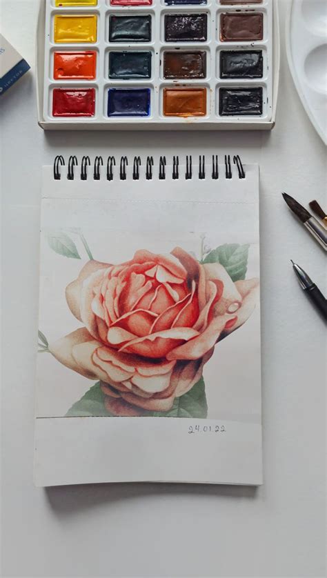 Drawing watercolor flower | Flower drawing, Flower coloring pages, Flower painting