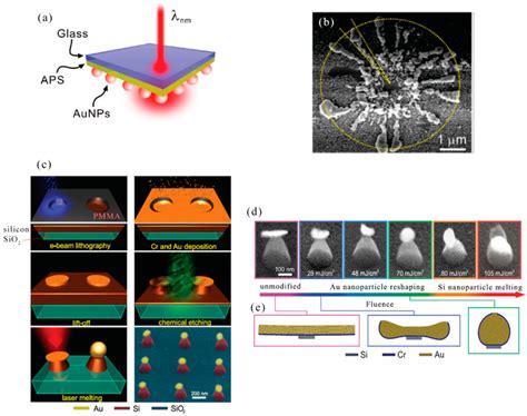 Diagram Of Silicon Micro Nano Structures Fabricated By Dry Etching