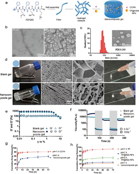 Fabrication And Characterization Of Nanocomposite Hydrogel A Schematic