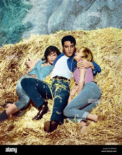 YVONNE CRAIG ELVIS PRESLEY & PAMELA AUSTIN KISSIN' COUSINS (1964 Stock ...