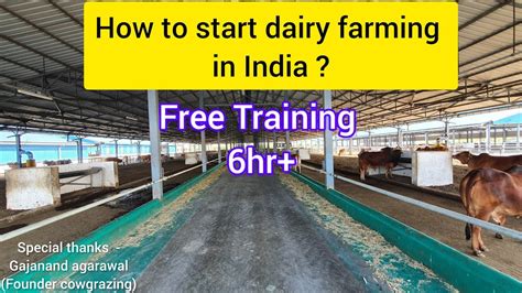 How To Start Dairy Farming In India Dairy Farming Training Dairy Milk Dairyfarming Milk