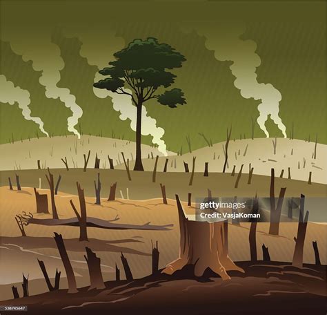 Deforestation And The Lonely Tree High-Res Vector Graphic - Getty Images