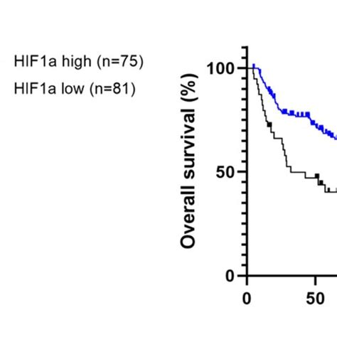 Elevated Hif A And Glut Expression Correlates With Worse Overall