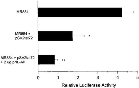 Tar Expression Enhances Tat Mediated Repression Of Mannose Receptor