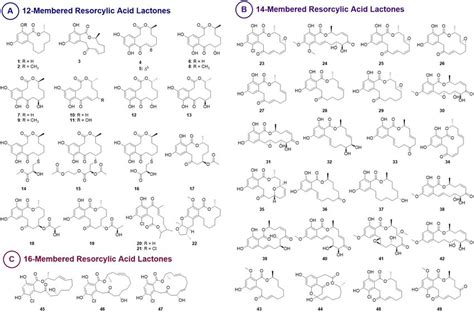 Structures Of Resorcylic Acid Lactones RALs A 12 Membered RALs