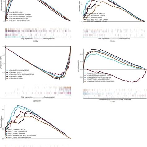 Enrichment Plots Of The Five Signature Related Mrnas From Gsea Gsea