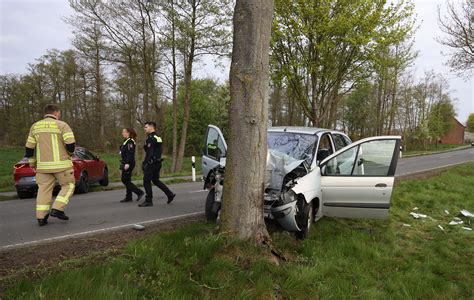 Autofahrer stirbt nach Baumunfall Neustädter Zeitung