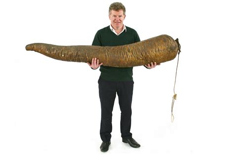 A five-and-a-half foot long whale penis sells for $6,000