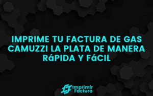 Imprimir Factura De Gas Camuzzi La Plata Paso A Paso 2024