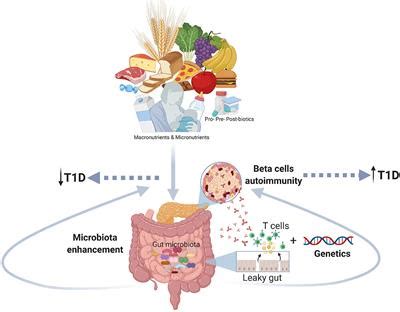 Frontiers Early Nutrition And Risk Of Type Diabetes The Role Of