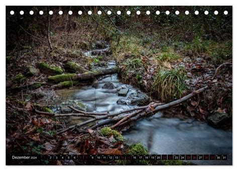 Wege Des Einfachen Gl Cks Spazierg Nge Im Wald Tischkalender