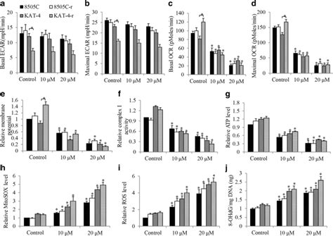 Artesunate Inhibits Mitochondrial Functions And Induces Oxidative Download Scientific Diagram