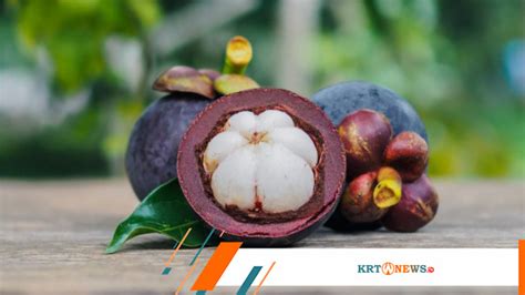 Simak Yuk Ini 4 Manfaat Buah Manggis Untuk Kesehatan Krt News