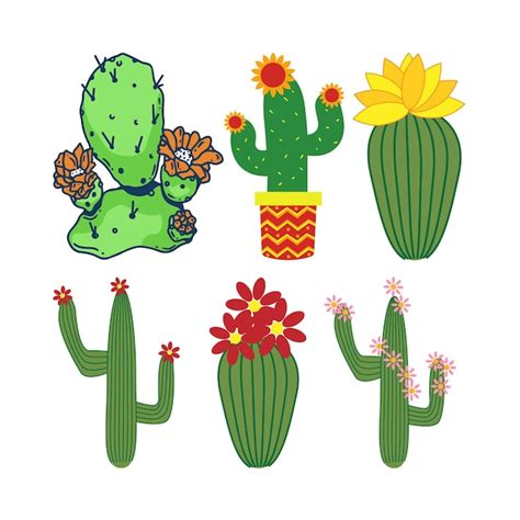 Cactos decorados ilustração ícone de planta suculenta cacto gráfico