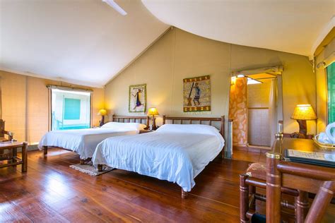 Mara Simba Lodge is a luxury - luxuy accommdation in masai mara