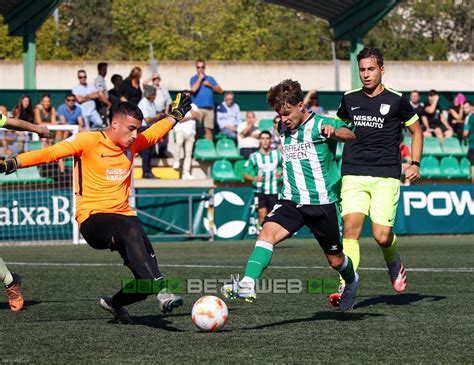 Galería de fotos del Betis DH San Roque Bpie Betisweb