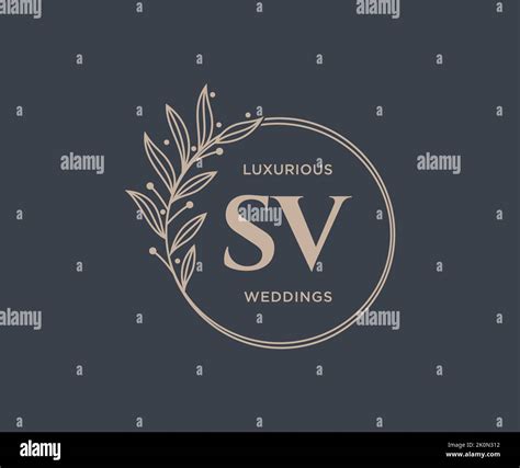 Sv Initials Letter Wedding Monogram Logos Template Hand Drawn Modern