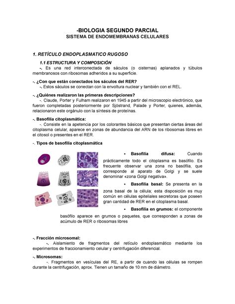 Biologia Segundo Parcial BIOLOGIA SEGUNDO PARCIAL SISTEMA DE