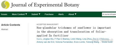 Jxb│西北工业大学王宇恒教授团队及其合作者研究揭示向日葵表皮毛在叶面施锌的吸收和转运中具有重要作用 知乎
