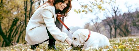 Беременность у собак | Purina