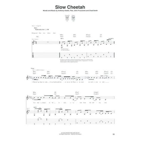 Hal Leonard Red Hot Chili Stadium Guitar Thomann Uk