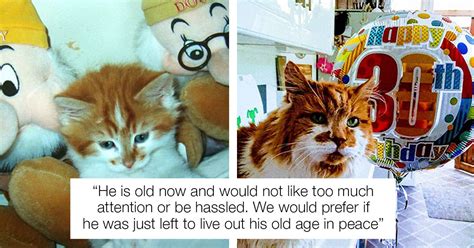 Rubble, The Oldest Living Cat In The World, Turns 30