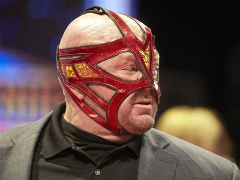 LEON WHITE White, known by wrestling fans as Big Van Vader — or simply Vader — passed away on ...