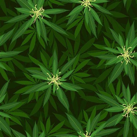 Floral Patterns HW349354 Swimwear Bikini Swimsuit Manufacturer WISRISE SWIM