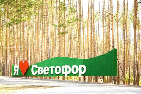 Спецпредложения