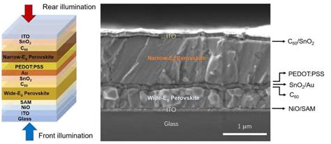 Les Cellules Solaires Tandem Bifaces Monolithiques Enti Rement