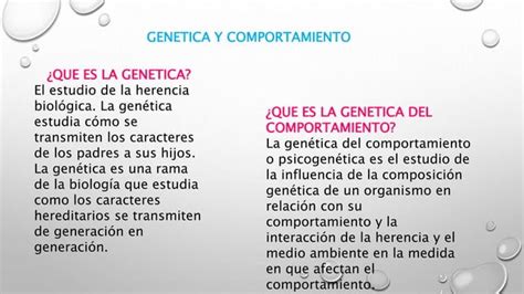 Relacion Entre Genetica Y Comportamiento Ppt Descarga Gratuita