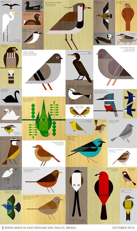 scott partridge - São Paulo Birds | Рисование птицы, Рисунок птиц ...