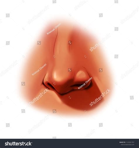 Fully Realistic Nose Illustration Human Realistic Stock Illustration ...