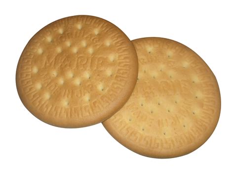 Biscuit Png Image Purepng Free Transparent Cc0 Png Image Library