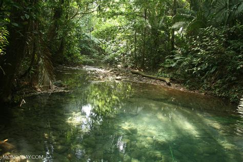 Belize Rainforest Map