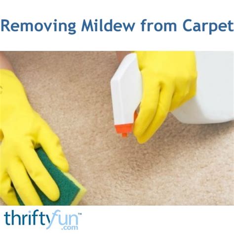 Removing Mildew From Carpet Thriftyfun