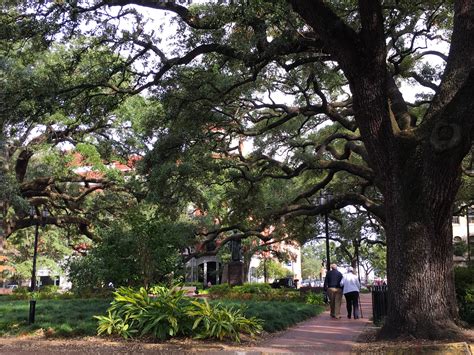 3 Self-Guided Walking Tours of Savannah — The City Sidewalks