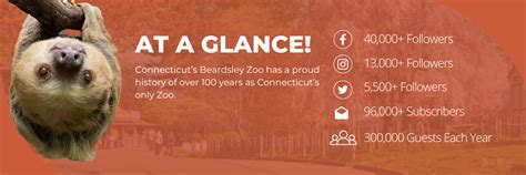 Events - Connecticut's Beardsley Zoo