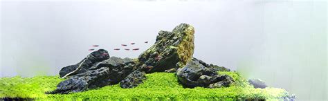 Handymade Aquascaping Rocks Aqua Rocks Iwagumi Style Sugar Rocks