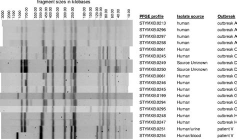 Examples Of Variation In Pfge Profile Noted Between Isolates From The