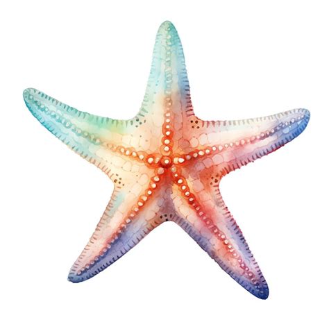 Hermosa estrella de mar acuarela bajo el mar ilustración de imágenes