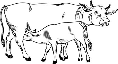 Coloriage Vache 13210 Animaux Dessin à Colorier Coloriages à