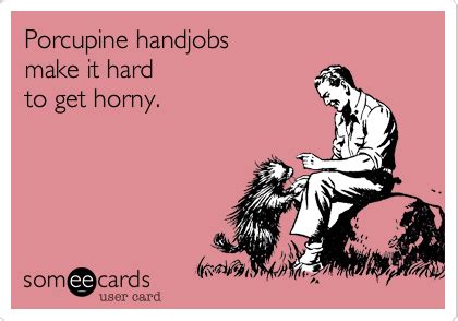 Porcupine Handjobs Make It Hard To Get Horny Reminders Ecard