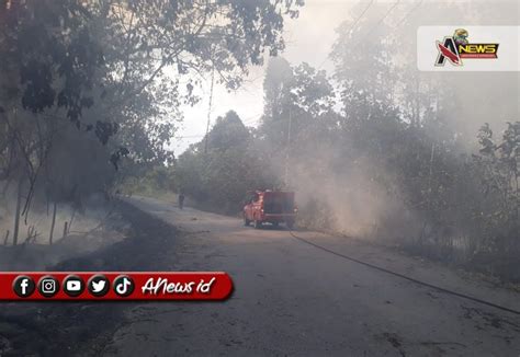 Gawat Terbesar Di Kaltim Titik Panas Terpantau Di Berau A News