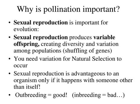 Ppt Lecture 13 Pollination Powerpoint Presentation Free Download Id2061017