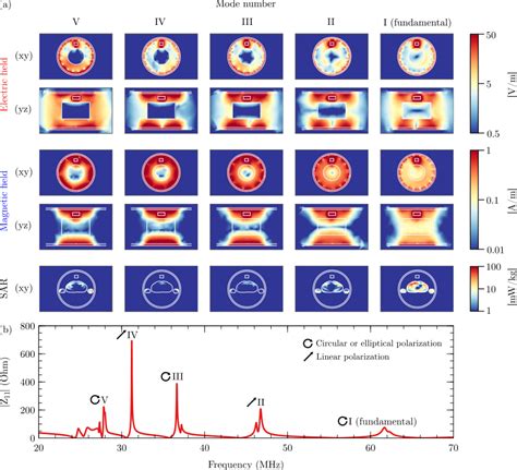 A Numerical Simulations Of The Electric And Magnetic Fields And Download Scientific Diagram